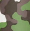 Camo